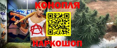 СК Донецк