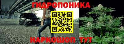 СК Донецк
