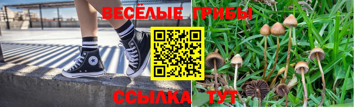 Галлюциногенные грибы Psilocybine cubensis Мичуринск